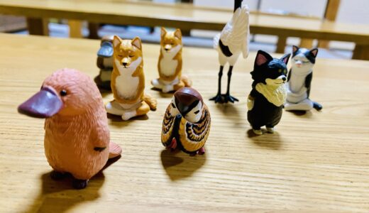 冬じゅく終わりました