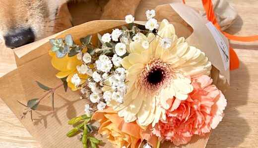 長い間ありがとう