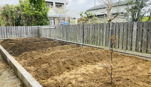 さつまいも作り