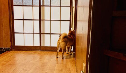 今日の塾は終わった？