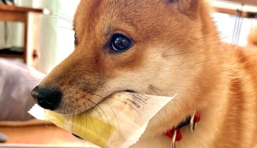 夏休み前半終わりました